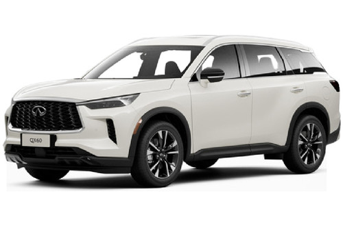 Infiniti QX60 (2024-2025) Majestic White