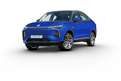 MG Whale Surfing Blue