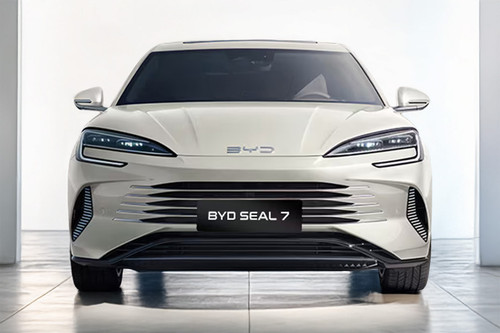 Full Front View of Seal 7