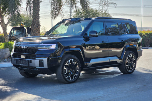 Leopard 8 Front angle low view