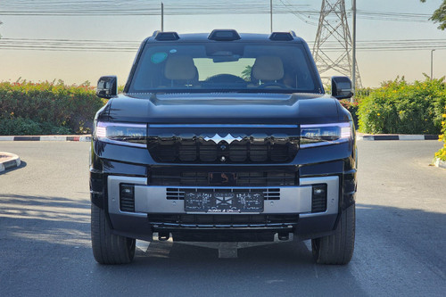 Full Front View of Leopard 8