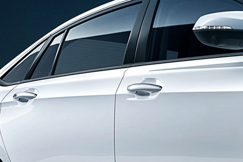 Shine Max Door handle