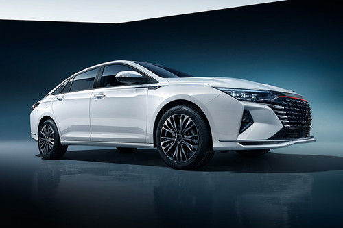 Shine Max Front deep low Angle View