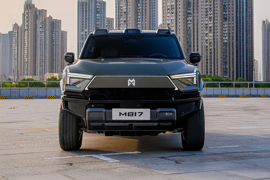 Full Front View of Warrior M817 in UAE