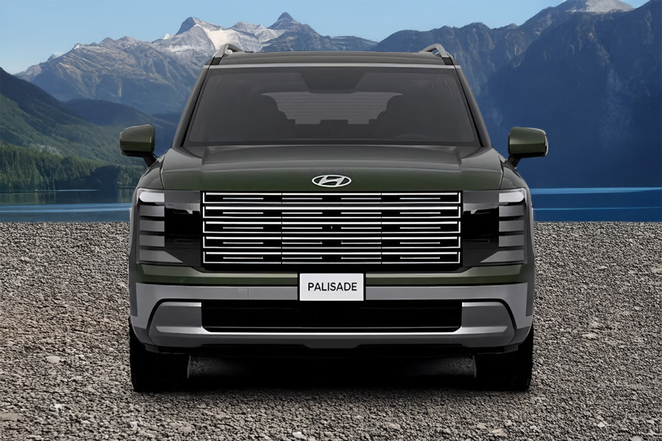 Full Front View of Palisade Full Front View of Palisade