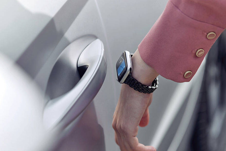 Sonata Door handle Sonata Door handle