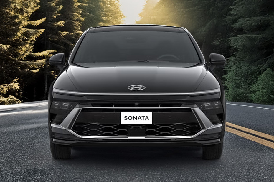 Full Front View of Sonata Full Front View of Sonata