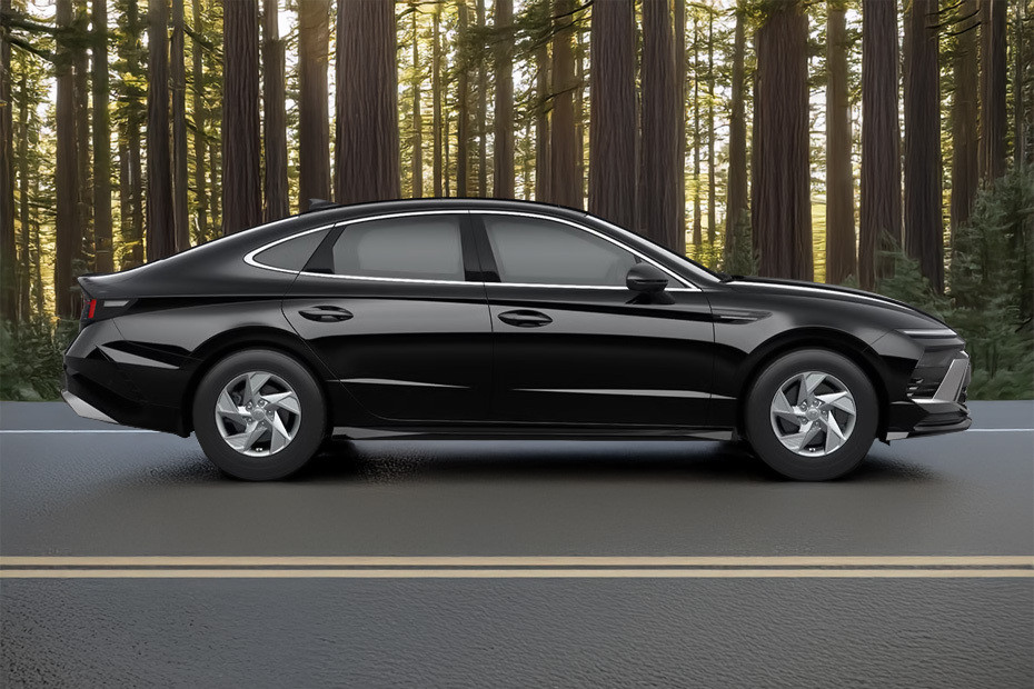 Sonata Medium Angle Front View Sonata Medium Angle Front View