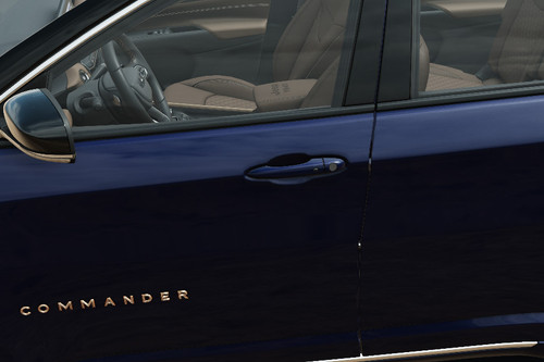 Commander Door handle