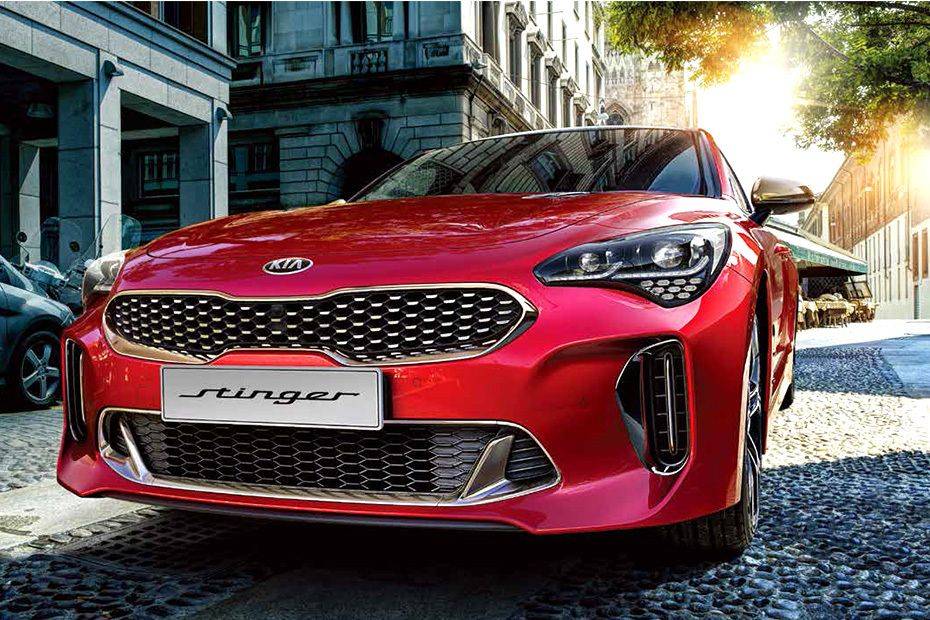 Stinger Tilted Front View Stinger Tilted Front View