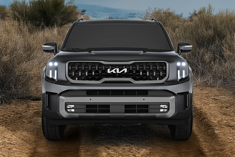 Full Front View of Telluride