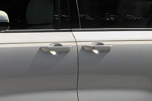 Carnival Door handle