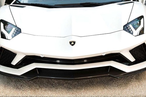 Aventador Grille View