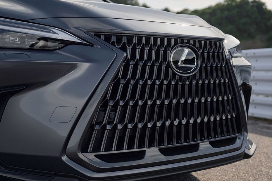 NX Hybrid Grille View in UAE