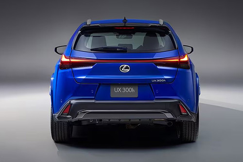 Full Rear View of Lexus UX300H