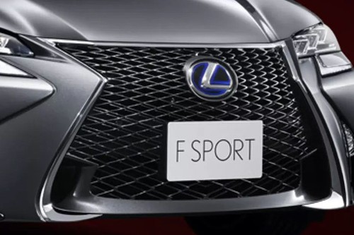 GS (2013-2021) Grille View
