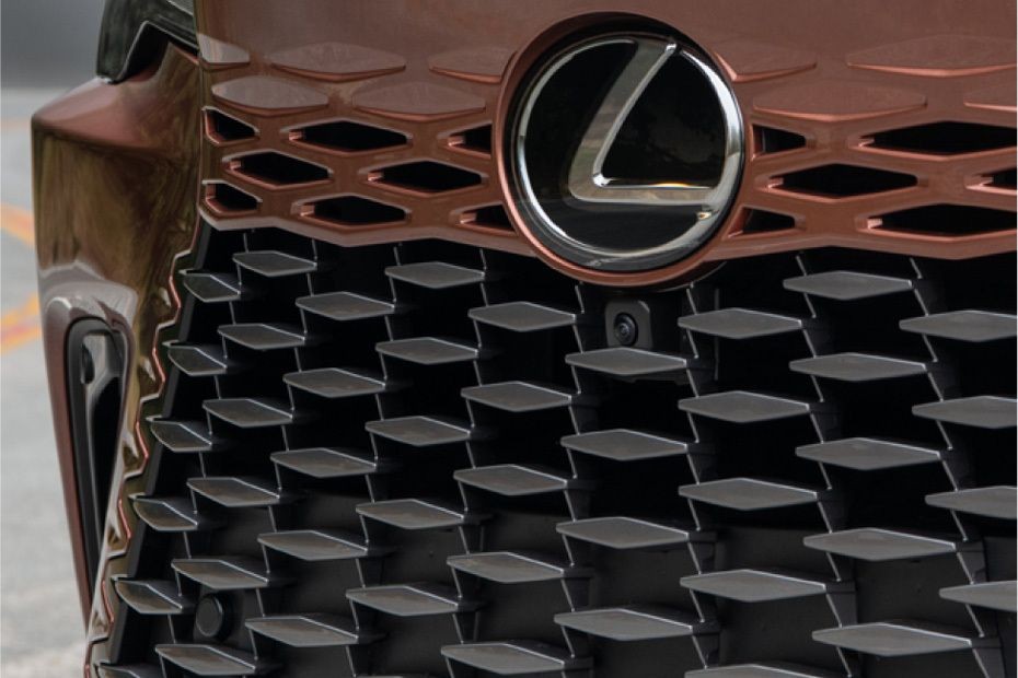 RX Hybrid Grille View in UAE