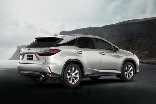 RX L Rear angle view