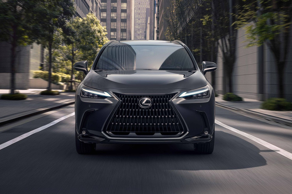 Full Front View of NX