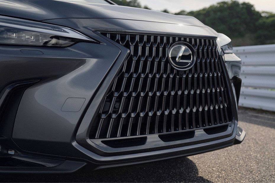 NX Grille View in UAE