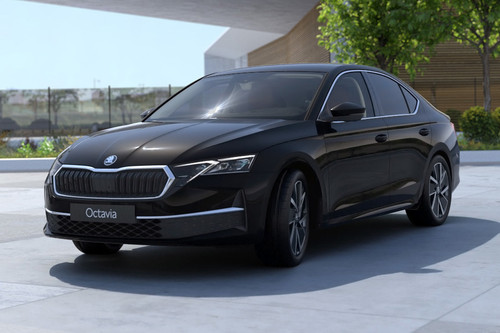 Octavia Front angle low view