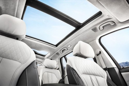 BMW X7 Sunroof Moonroof