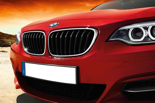 2 Series Coupe (2022-2023) Grille View