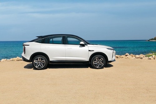 Whale Medium Angle Front View