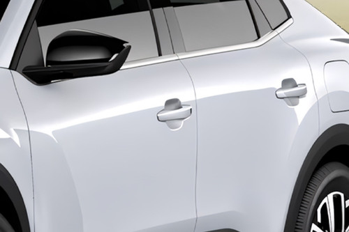 C4 X (2024-2025) Door handle