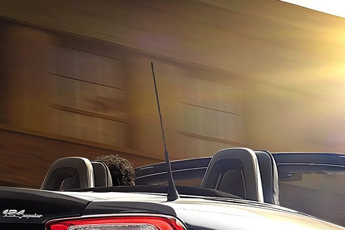 124 Spider Roof Antenna