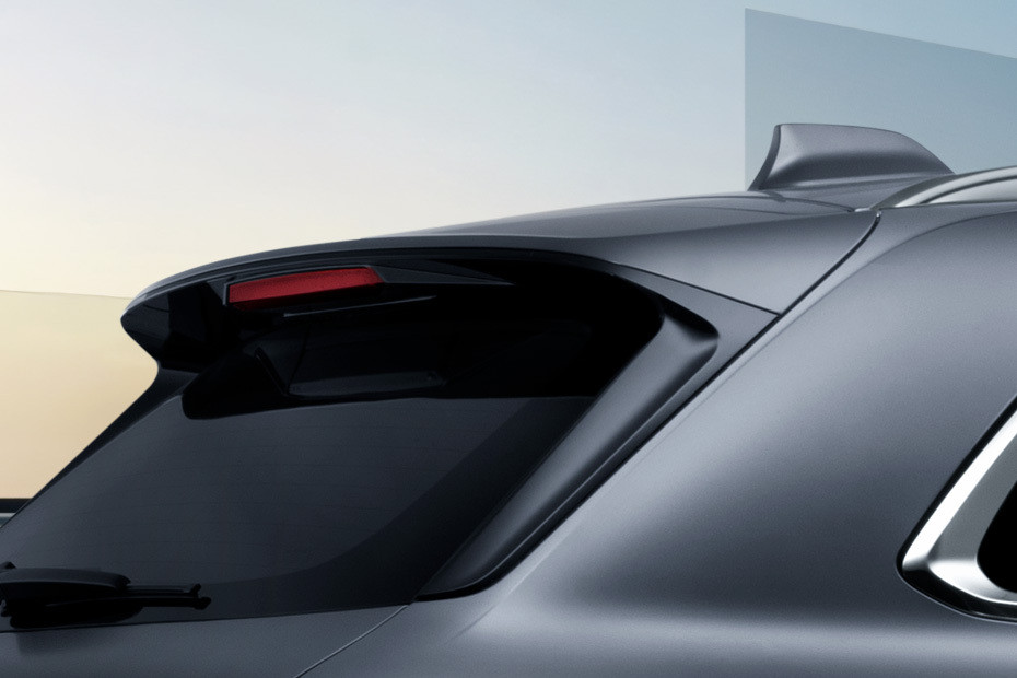 Monjaro Spoiler Monjaro Spoiler