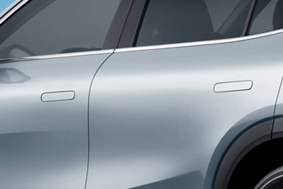 EX5 Door handle EX5 Door handle