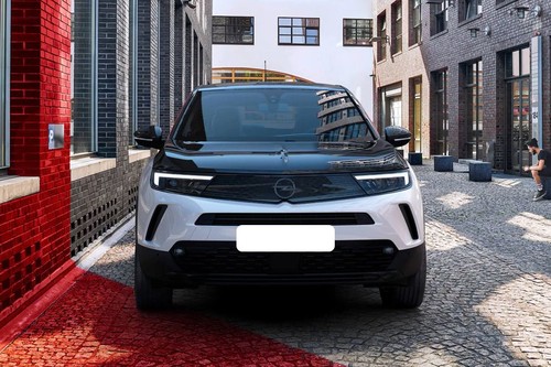 Full Front View of Mokka