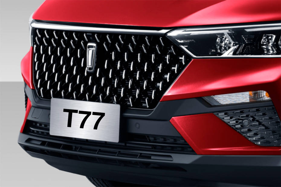 T77 Grille View T77 Grille View