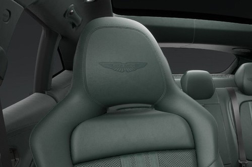 DBX Front Seat Headrest