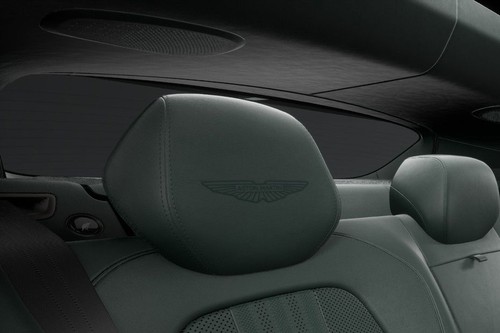 DBX Rear Seat Head rest