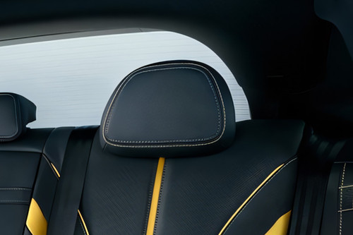 H6 Rear Seat Head rest