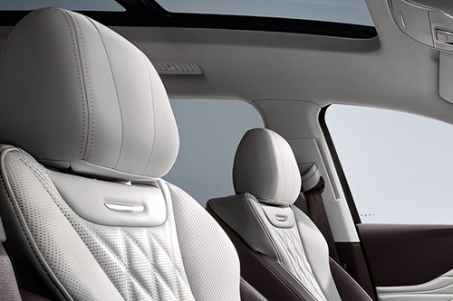 HS7 Front Seat Headrest