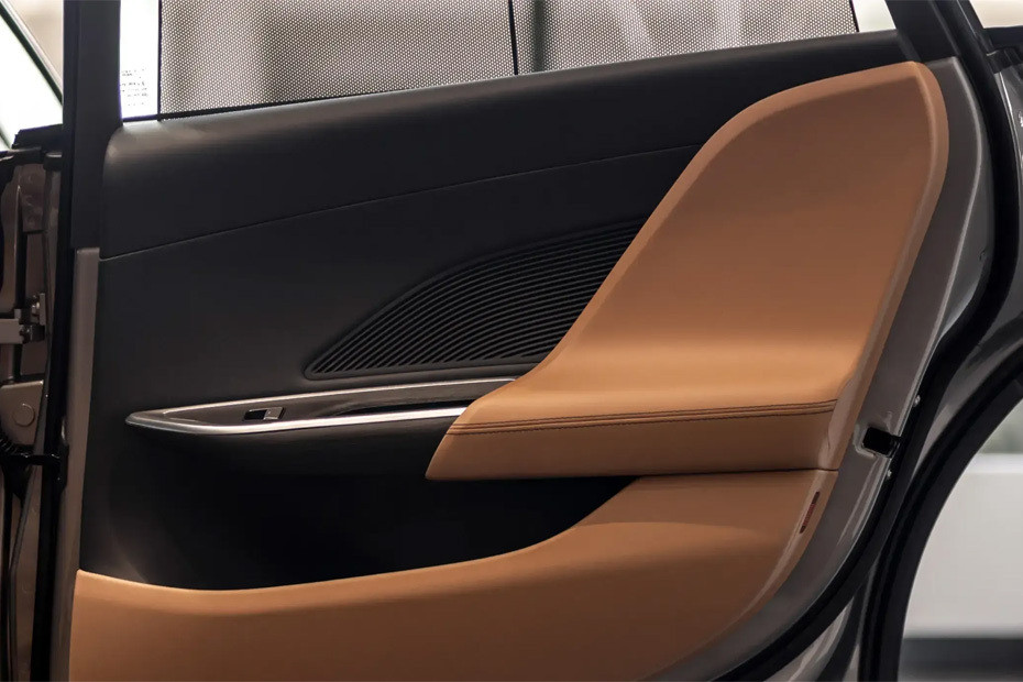 Lucid AIR Inside Of Drivers Side Open Door in UAE