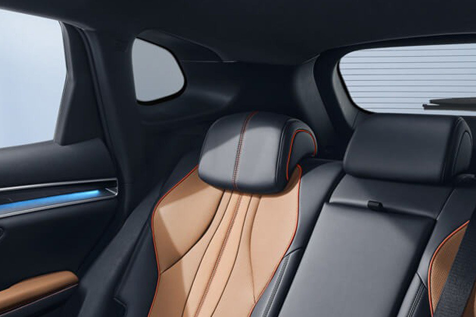 Sealion 6 Rear Seat Head rest Sealion 6 Rear Seat Head rest