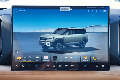 Stereo View of Leopard 8