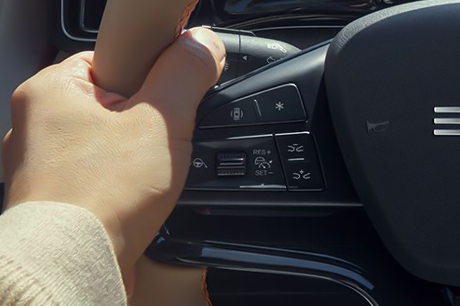 BYD Sealion 5 Multi Function Steering in UAE