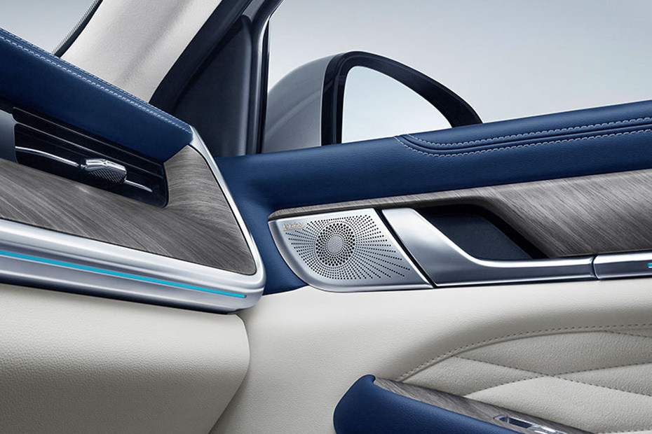 door handle interior of Tank 500 in UAE