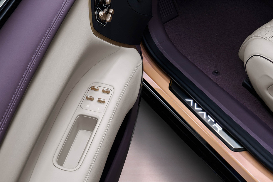 AVATR 11 Drivers Side In Side Door Controls in UAE