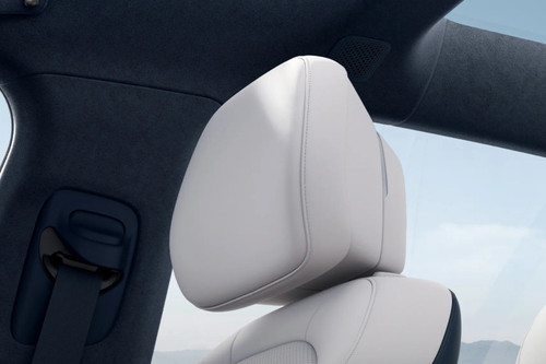 007 Front Seat Headrest