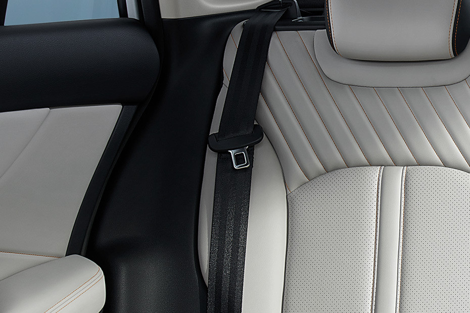 Shine Max Seat Belt Shine Max Seat Belt