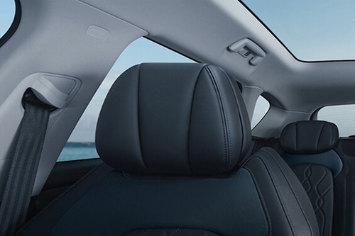 Free Front Seat Headrest