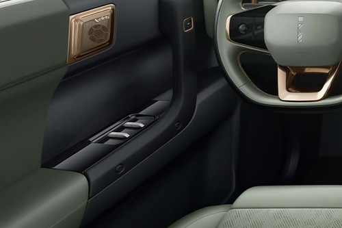 iCaur 03 Drivers Side In Side Door Controls