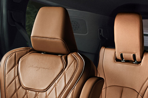 QX60 (2024-2025) Front Seat Headrest