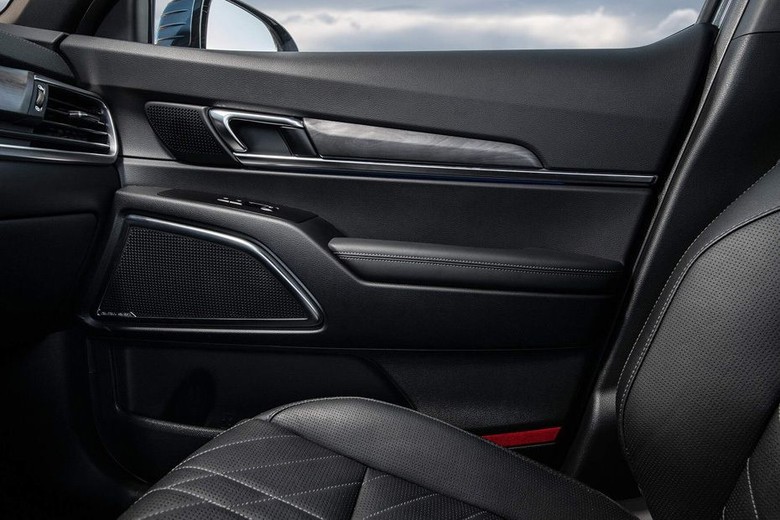 door handle interior of KIA Telluride